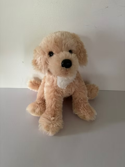 Noodle Golden Doodle