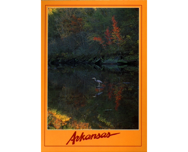 Arkansas Little Red River Postcard
