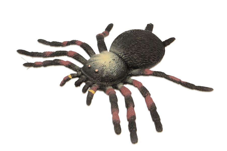 Stretchy Tarantula