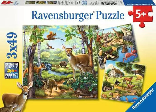 Forest/Zoo/Domestic Animal Puzzle