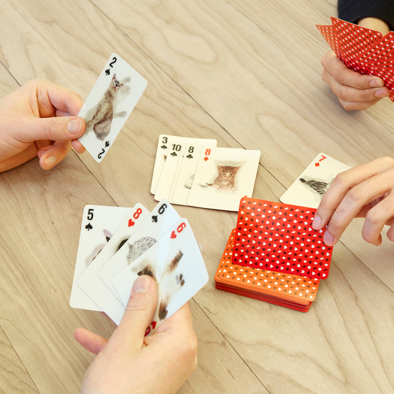 3D Playing Cards
