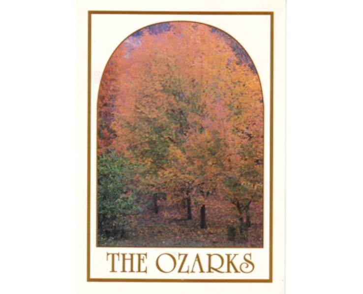 Arkansas Ozarks Fall Trees
