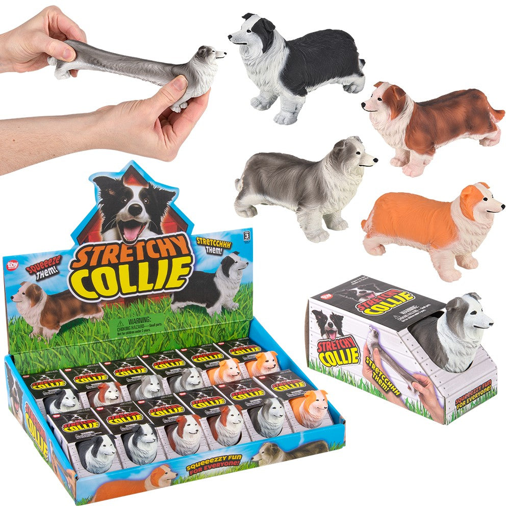 Stretchy Collie