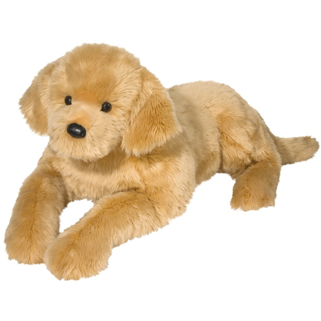 Sherman Golden Retriever