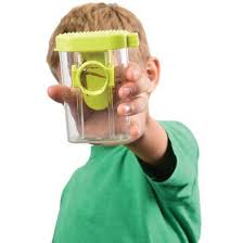 Insect Inspector