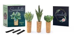 Succulents Magnet