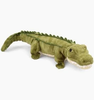 Stream Line Alligator