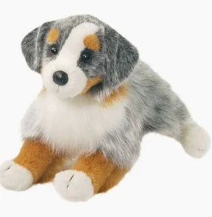 Sinclair Australian Shepherd