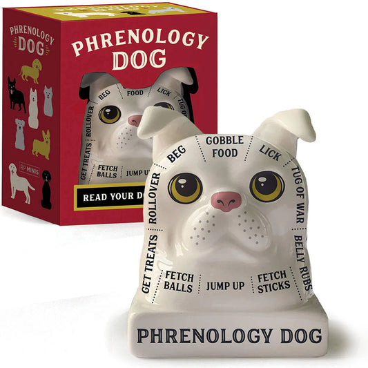 Phrenology Dog