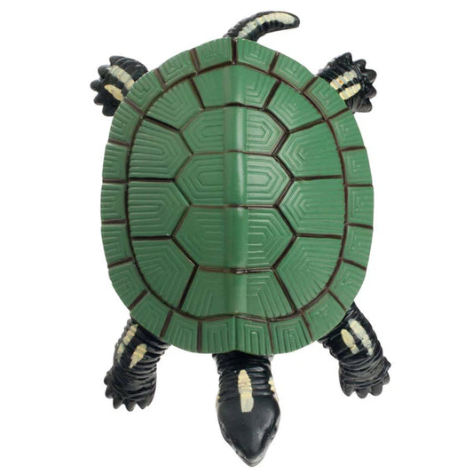 Turtle Squishimals