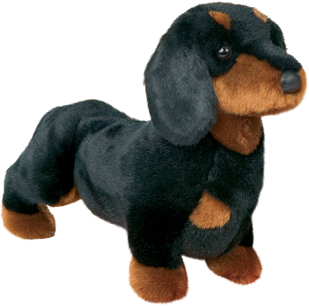 Spats Dachshund
