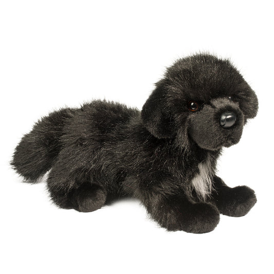 Bundy Newfoundland