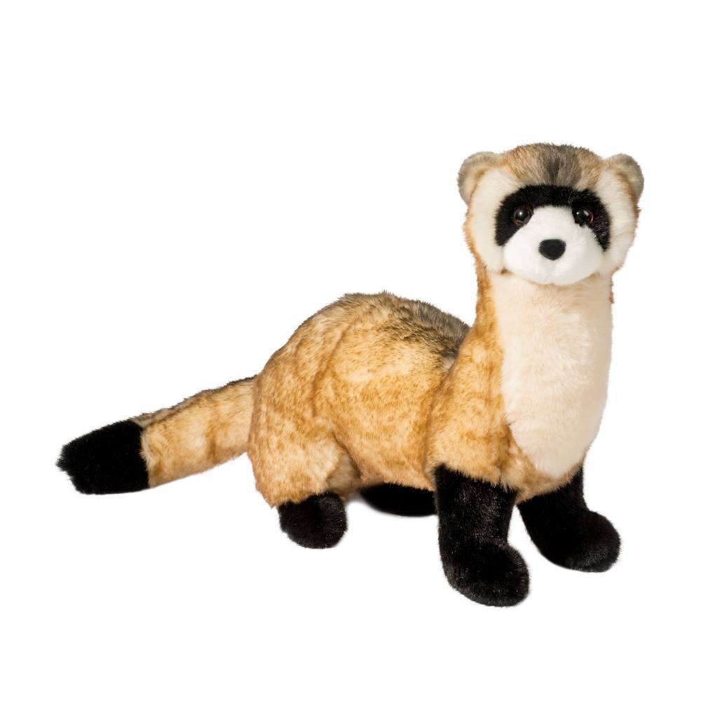 Vince Black Footed Ferret