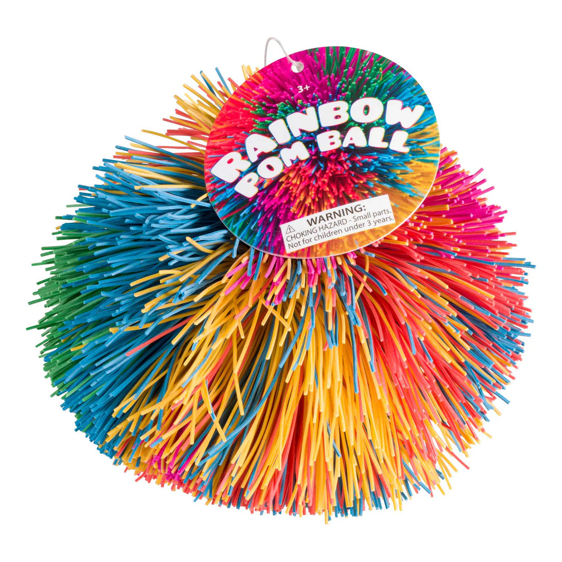 Rainbow Pom Ball