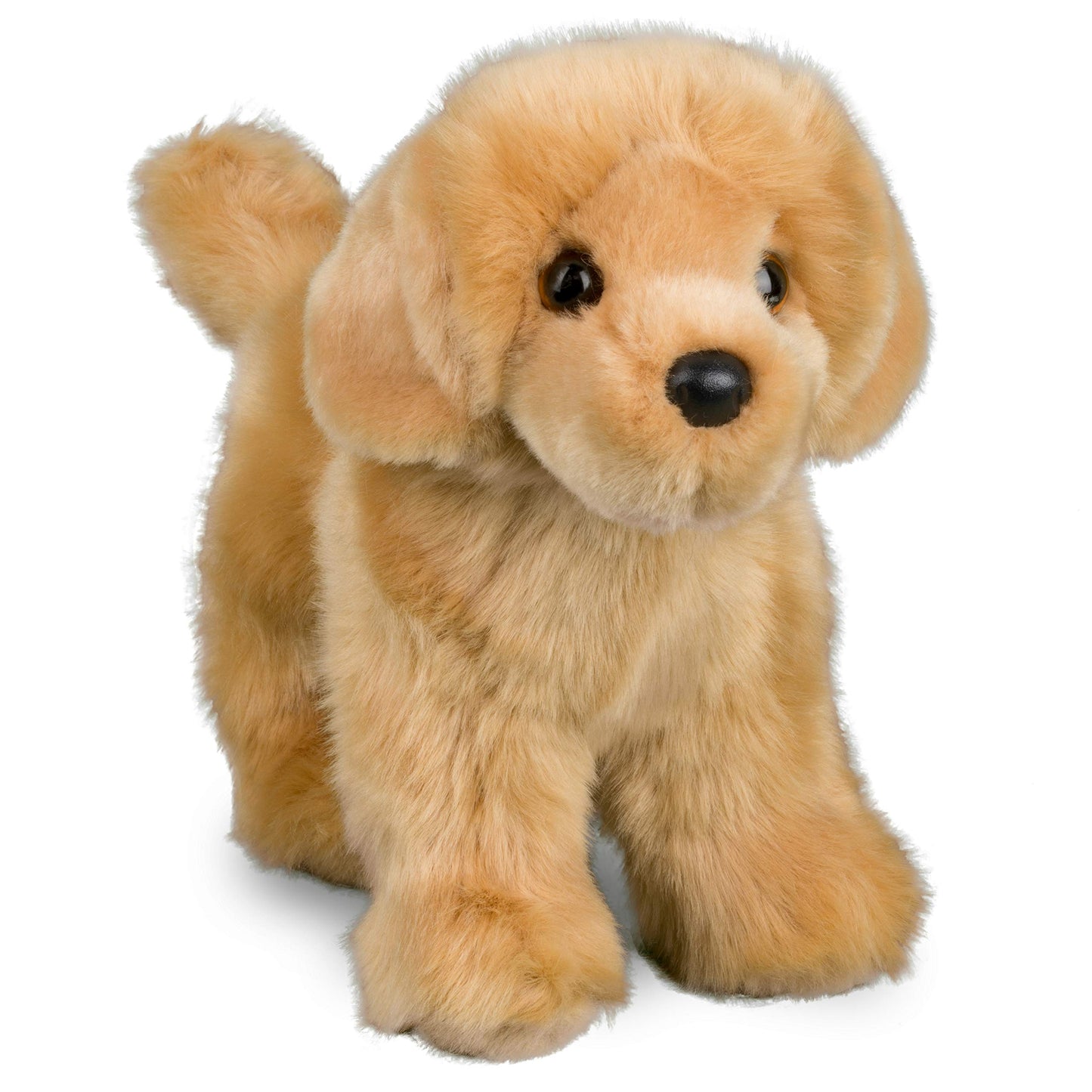 Chap Golden Retriever