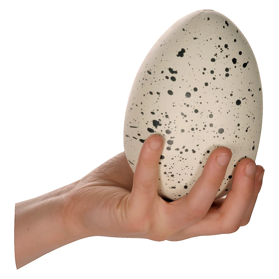 Ginormous Grow Dino Egg
