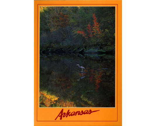 Arkansas Little Red River Postcard
