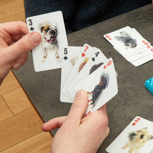3D Playing Cards