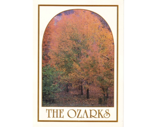 Arkansas Ozarks Fall Trees