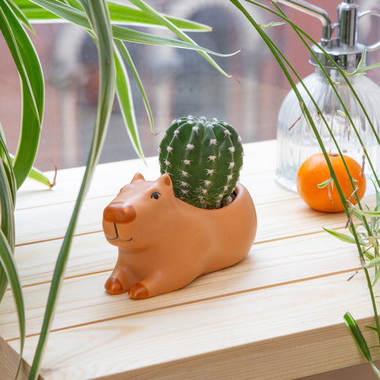 Cappy The Capybara Planter
