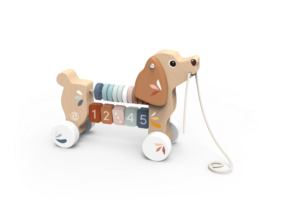 Puppy Pull Along