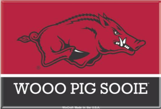 Arkansas Razorbacks Magnet