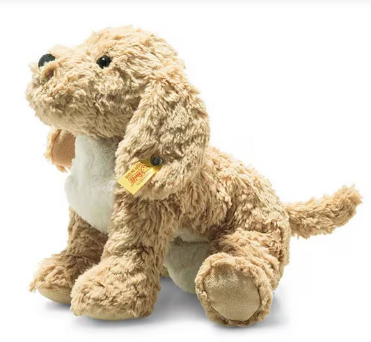 Berno Golden-Doodle
