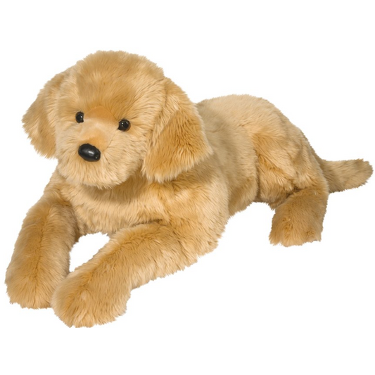 Sherman Golden Retriever