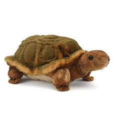 Speedy Tortoise