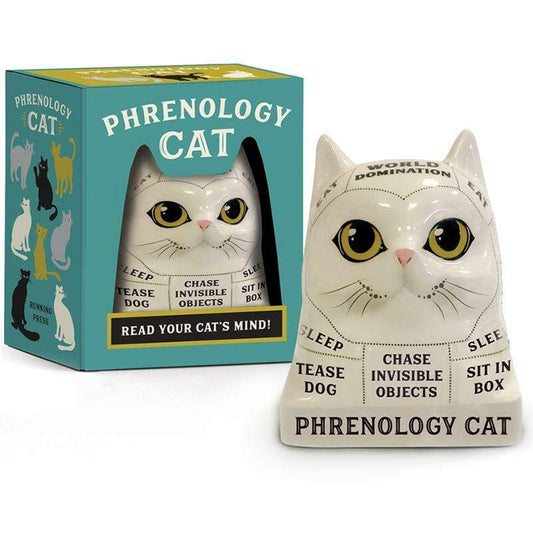 Phrenology Cat